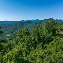 9999 28 Lovebird Lane
