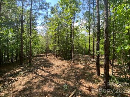 213 High Meadows Lane 29 sold home in Black Rock Falls, Rutherfordton, NC