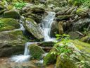 000 Ogles Gap Road sold home in Burnsville, SC