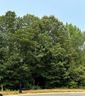 0 Shanklin Lane 26 sold home in Denver, SC