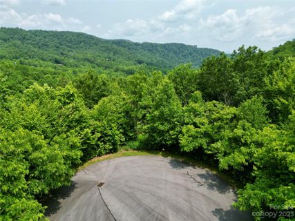462 Feather Falls Trail 12