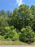 26 Carolina Buckthorn Drive sold home in Leicester, SC