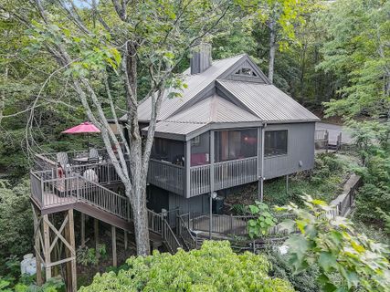 243 Blue Bird Road 50