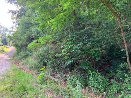 00 Roberts Trail