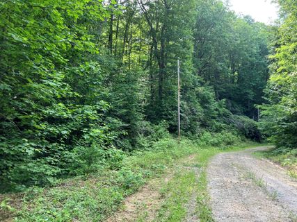 Lots 533 534 Jones Court