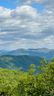 99999 Laurel Mountain Trail 12 sold home in Black Mountain, SC