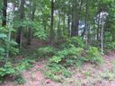 00 Caledonia Road sold home in Landrum, SC