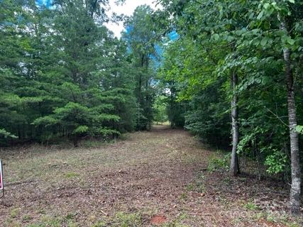 46 N Park Lane active home in Lake Adger, Mill Spring, NC