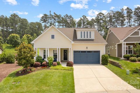 233 Stone Mountain Way