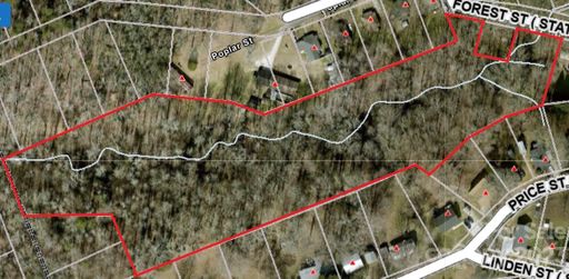 7 Acres Forest Street
