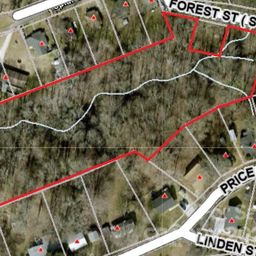 7 Acres Forest Street