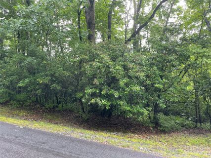 Tbd Tellico Trail