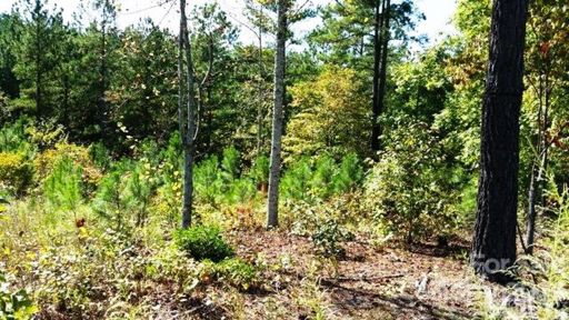 3187 Panoramic Vista Court 62 sold home in Lake Vista, Connelly Springs, NC