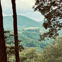 Lot 64 Poplar Forest Drive