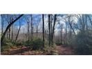 Lot 17 Deer Run sold home in Deer Run Estates, Black Mountain, NC