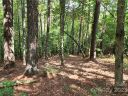 114 Rivercliff Drive sold home in Connelly Springs, SC