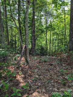 Tbd Erwin Hill Drive 25,26 sold home in Laurel Cove Retreat, Etowah, NC