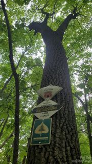 135 Mad Bear Trail sold home in Indian Camp Mountain, Rosman, NC
