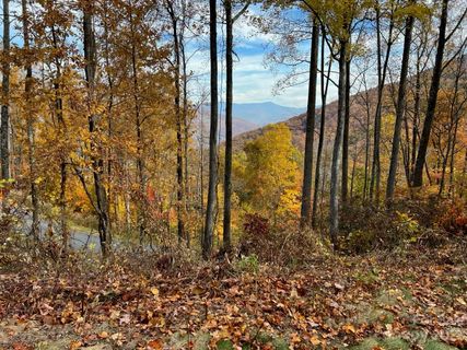 1332 Daydream Ridge 67 sold home in High Hickory, Swannanoa, NC