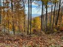 1332 Daydream Ridge 67 sold home in Swannanoa, SC