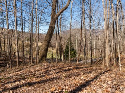 115 Lindon Cove Road 33 sold home in Lindon Cove Crossing, Candler, NC