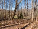 115 Lindon Cove Road 33 sold home in Candler, SC