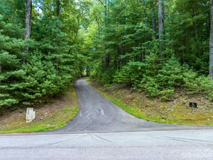 36 Dividing Ridge Trail 5