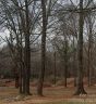 5614 Douglas Street 17 sold home in Charlotte, SC