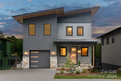 305 Iron Ridge Loop