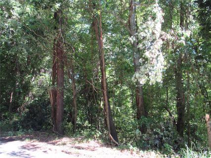 408 Day Lily Drive sold home in Whispering Pines, Leicester, NC