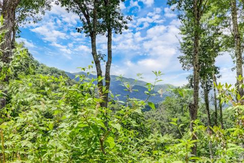 0 Centurian Lane active home in Cranberry Falls, Maggie Valley, NC