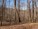103 Lindon Cove Road 31 sold home in Candler, SC