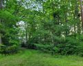 2349 Pisgah Forest Drive sold home in Pisgah Forest, SC