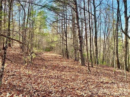 5 58 Acres Lot 63 Round Mountain Parkway