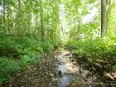 000 Weston Road sold home in Arden, SC