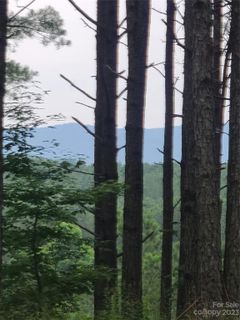 122 Table Rock Trace