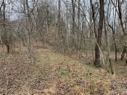 9011 Brookgreen Drive