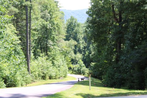 Lot 85r Mountain Home Trail 85R