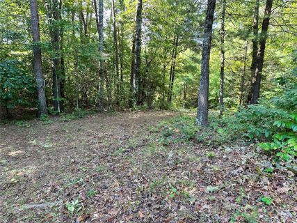 5366 Low Country Road 822