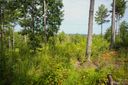 2083 Jumping Run Lot 186 sold home in Connelly Springs, SC