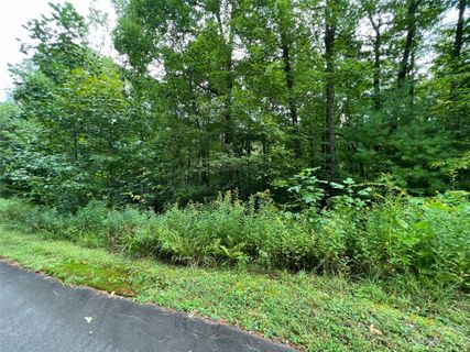 103 Laurel Thicket Lane active home in Big Hill, Brevard, NC