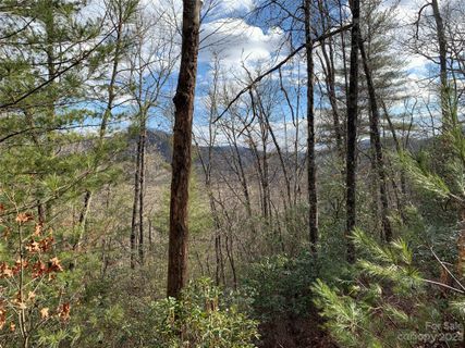 91 Laurel Thicket Lane active home in Big Hill, Brevard, NC