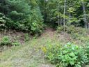 117 Green Hollow Lane sold home in Brevard, SC