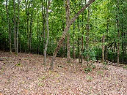 312 Belle Isle Way 282
