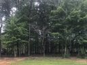 6217 Hollow Oak Drive 88 sold home in Mint Hill, SC