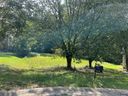 9404 Northwoods Forest Drive sold home in Charlotte, SC