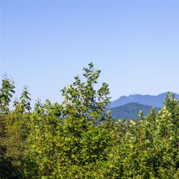 Lot 134 Fire Crest Lane