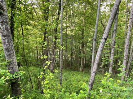 52 Scenic View Drive sold home in Wildlife Acres, Hendersonville, NC