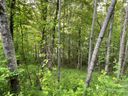 52 Scenic View Drive sold home in Hendersonville, SC