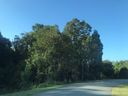 117 Blue Sky Circle 21 sold home in Shelby, SC